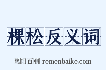 棵松反义词是什么意思的图片